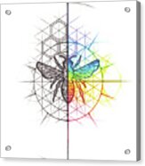 Bee Geometry Spectrum Acrylic Print