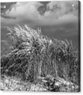 Before The Storm Acrylic Print