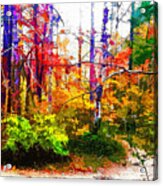 Bent Creek Autumn Acrylic Print