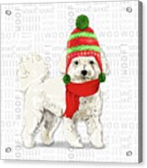 Bichon Frise Christmas Dog Acrylic Print