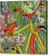 Bicycle With Flower Basket S #4 Acrylic Print