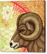 Big Horn Ram Abstract Acrylic Print