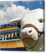 Big Texan Steak Ranch Bull Acrylic Print