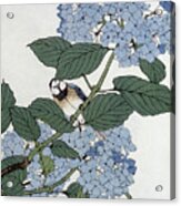 Bird In Hydrangeas, Vintage Japanese Botanical Print Acrylic Print
