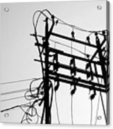 Bird Vs Electric Tower In Monochrome Acrylic Print
