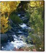 Fall Color And Sun Rays On Bishop Creek Acrylic Print