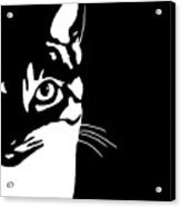 Black And White Cat 657 Acrylic Print