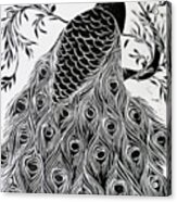 Black And White Peacock Acrylic Print