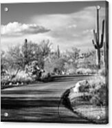 Black Arizona Series - Desert Road Acrylic Print