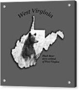 Black Bear Wv State Animal Acrylic Print