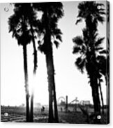 Black California Series - Santa Monica Sunset Acrylic Print