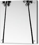 Black California Series - Two Palm Trees Acrylic Print