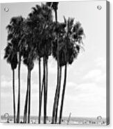 Black California Series - Venice Beach Alley Acrylic Print