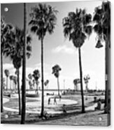 Black California Series - Venice Beach Skate Park Acrylic Print