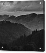 Black Forest Fog Receives Rain Acrylic Print