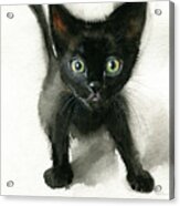 Black Kitten Painting Acrylic Print