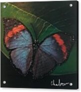 Blessed Butterfly Acrylic Print