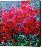 Blooming Happiness Acrylic Print