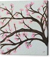 Blossom Acrylic Print