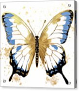 Blue And Gold Butterfly Acrylic Print