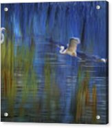 Blue Bayou Ii Acrylic Print