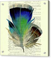 Blue Bird Feather On A French Book Page Acrylic Print