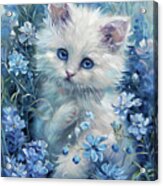 Blue Blossom Kitten Acrylic Print