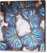 Blue Butterflies Acrylic Print