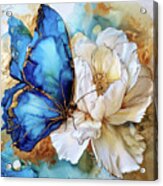 Blue Butterfly Elegance Acrylic Print