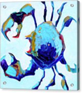 Blue Crab Acrylic Print