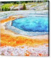 Blue Crested Pool At Yellowstone National Park Acrylic Print