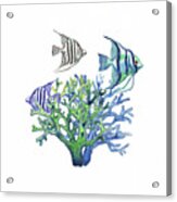 Blue Purple Gray Scalare Angel Fish In Watercolor Corals Acrylic Print