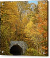 Blue Ridge Parkway Tunnel In Fall Acrylic Print