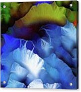 Blue Rose Of Remembrance For Black Lives Gone Too Soon Acrylic Print