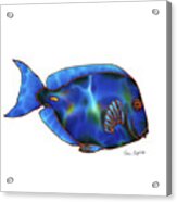 Blue Tang White Background Acrylic Print