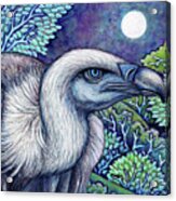 Blue Vulture Moon Acrylic Print
