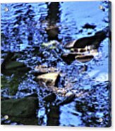 Blue Water In The Stream Acrylic Print