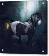 Bluebell Tinker Horse Acrylic Print