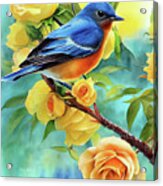 Bluebird In The Yellow Roses Acrylic Print