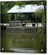 Bluebonnet Swamp Pond Acrylic Print