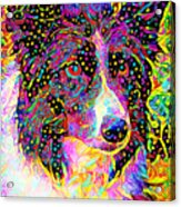 Border Collie Dog In Vibrant Whimsical Colors 20210118 Acrylic Print