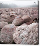 Boulder Field, Natural Phenomenon In Pennsylvania Hickory Run State Park Acrylic Print