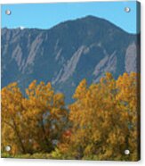 Boulder Flatirons And Mighty Cottonwood Trees Acrylic Print