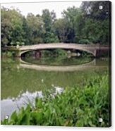 Bow Bridge, August Acrylic Print