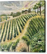 Brendas View At Lorenzi Estate Winery In Temecula Acrylic Print