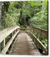 Bridge To Woods Acrylic Print