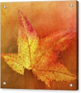 Bright Autumn Leaf Acrylic Print