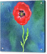 Bright Beautiful Red Poppy Flower Happy Wildflower On Blue Watercolor Iii Acrylic Print