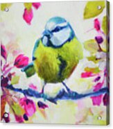 Bright Little Bird Acrylic Print
