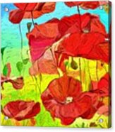 Bright Red Poppies Acrylic Print